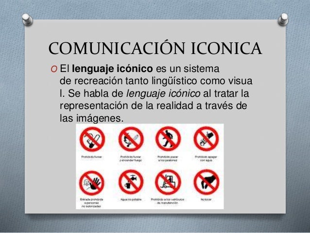 Formas y dimension de la comunicacion paulette