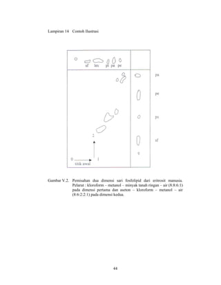 Lampiran 14 Contoh Ilustrasi




Gambar V.2. Pemisahan dua dimensi sari fosfolipid dari eritrosit manusia.
            Pelarut : kloroform – metanol – minyak tanah ringan – air (8:8:6:1)
            pada dimensi pertama dan aseton – kloroform – metanol – air
            (8:6:2:2:1) pada dimensi kedua.




                                      44
 