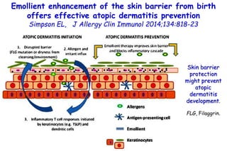 Emollient enhancement of the skin barrier from birth
offers effective atopic dermatitis prevention
Simpson EL, J Allergy C...