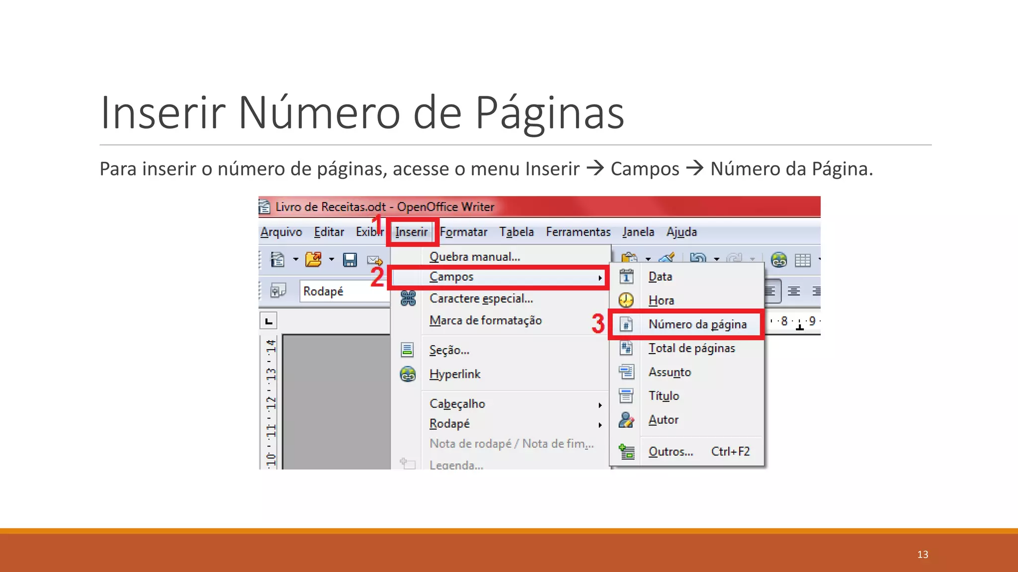 Inserir Número de Páginas
Para inserir o número de páginas, acesse o menu Inserir  Campos  Número da Página.

13

 