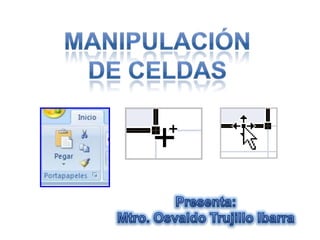 MANIPULACIÓN DE CELDAS Presenta: Mtro. Osvaldo Trujillo Ibarra 