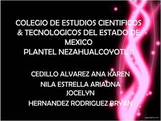 COLEGIO DE ESTUDIOS CIENTIFICOS
& TECNOLOGICOS DEL ESTADO DE
MEXICO
PLANTEL NEZAHUALCOYOTL ll
CEDILLO ALVAREZ ANA KAREN
NILA ESTRELLA ARIADNA
JOCELYN
HERNANDEZ RODRIGUEZ BRYAN

 