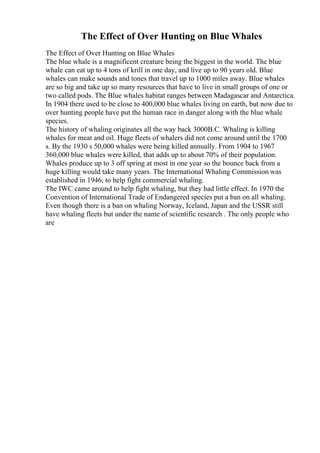 The Effect of Over Hunting on Blue Whales
The Effect of Over Hunting on Blue Whales
The blue whale is a magnificent creature being the biggest in the world. The blue
whale can eat up to 4 tons of krill in one day, and live up to 90 years old. Blue
whales can make sounds and tones that travel up to 1000 miles away. Blue whales
are so big and take up so many resources that have to live in small groups of one or
two called pods. The Blue whales habitat ranges between Madagascar and Antarctica.
In 1904 there used to be close to 400,000 blue whales living on earth, but now due to
over hunting people have put the human race in danger along with the blue whale
species.
The history of whaling originates all the way back 3000B.C. Whaling is killing
whales for meat and oil. Huge fleets of whalers did not come around until the 1700
s. By the 1930 s 50,000 whales were being killed annually. From 1904 to 1967
360,000 blue whales were killed, that adds up to about 70% of their population.
Whales produce up to 3 off spring at most in one year so the bounce back from a
huge killing would take many years. The International Whaling Commission was
established in 1946, to help fight commercial whaling.
The IWC came around to help fight whaling, but they had little effect. In 1970 the
Convention of International Trade of Endangered species put a ban on all whaling.
Even though there is a ban on whaling Norway, Iceland, Japan and the USSR still
have whaling fleets but under the name of scientific research . The only people who
are
 