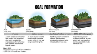 Comprehensive Overview of Fossil Fuels: Formation, Uses, and ...