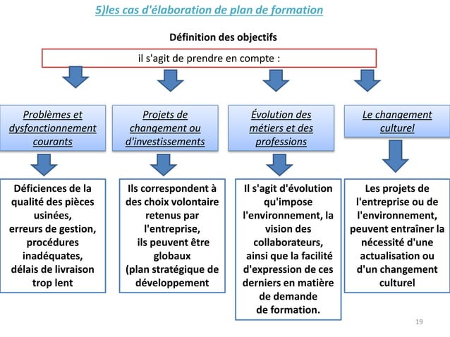 plan de formation