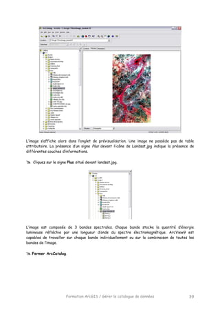 Formation ArcGIS / Gérer le catalogue de données 39
L’image s’affiche alors dans l’onglet de prévisualisation. Une image ne possède pas de table
attributaire. La présence d’un signe Plus devant l’icône de Landsat.jpg indique la présence de
différentes couches d’informations.
Cliquez sur le signe Plus situé devant landsat.jpg.
L’image est composée de 3 bandes spectrales. Chaque bande stocke la quantité d’énergie
lumineuse réfléchie par une longueur d’onde du spectre électromagnétique. ArcView9 est
capables de travailler sur chaque bande individuellement ou sur la combinaison de toutes les
bandes de l’image.
Fermer ArcCatalog.
 