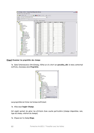 Formation ArcGIS / Travailler avec les tables80
Etape3 Examiner les propriétés des champs
Dans l’arborescence d’ArcCatalog, faîtes un clic droit sur parcelles_vdk, le menu contextuel
s’affiche, choisissez alors Propriétés.
Les propriétés du fichier de formes s’affichent.
Allez sous l’onglet Champs.
Cet onglet permet de gérer les attributs d’une couche particulière (champs disponibles, nom,
type de champ, création de champs).
Cliquez sur le champ Shape.
 