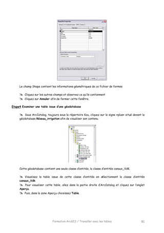 Formation ArcGIS / Travailler avec les tables 81
Le champ Shape contient les informations géométriques de ce fichier de formes
Cliquez sur les autres champs et observez ce qu’ils contiennent
Cliquez sur Annuler afin de fermer cette fenêtre.
Etape4 Examiner une table issue d’une géodatabase
Sous ArcCatalog, toujours sous le répertoire Kou, cliquez sur le signe «plus» situé devant la
géodatabase Réseau_irrigation afin de visualiser son contenu.
Cette géodatabase contient une seule classe d’entités, la classe d’entités canaux_VdK.
Visualisez la table issue de cette classe d’entités en sélectionnant la classe d’entités
canaux_Vdk
Pour visualiser cette table, allez dans la partie droite d’ArcCatalog et cliquez sur l’onglet
Aperçu.
Puis, dans la zone Aperçu choisissez Table.
 