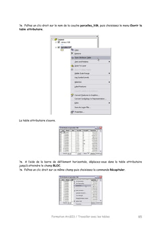 Formation ArcGIS / Travailler avec les tables 85
Faîtes un clic-droit sur le nom de la couche parcelles_Vdk, puis choisissez le menu Ouvrir la
table attributaire.
La table attributaire s’ouvre.
A l’aide de la barre de défilement horizontale, déplacez-vous dans la table attributaire
jusqu’à atteindre le champ BLOC.
Faîtes un clic droit sur ce même champ puis choisissez la commande Récapituler.
 