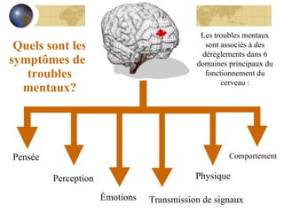 Quels sont les symptômes des troubles mentaux? Pensée Les troubles mentaux sont associés à des dérèglements dans 6 domaines principaux du fonctionnement du cerveau : Perception Émotions Transmission de signaux Comportement Physique 