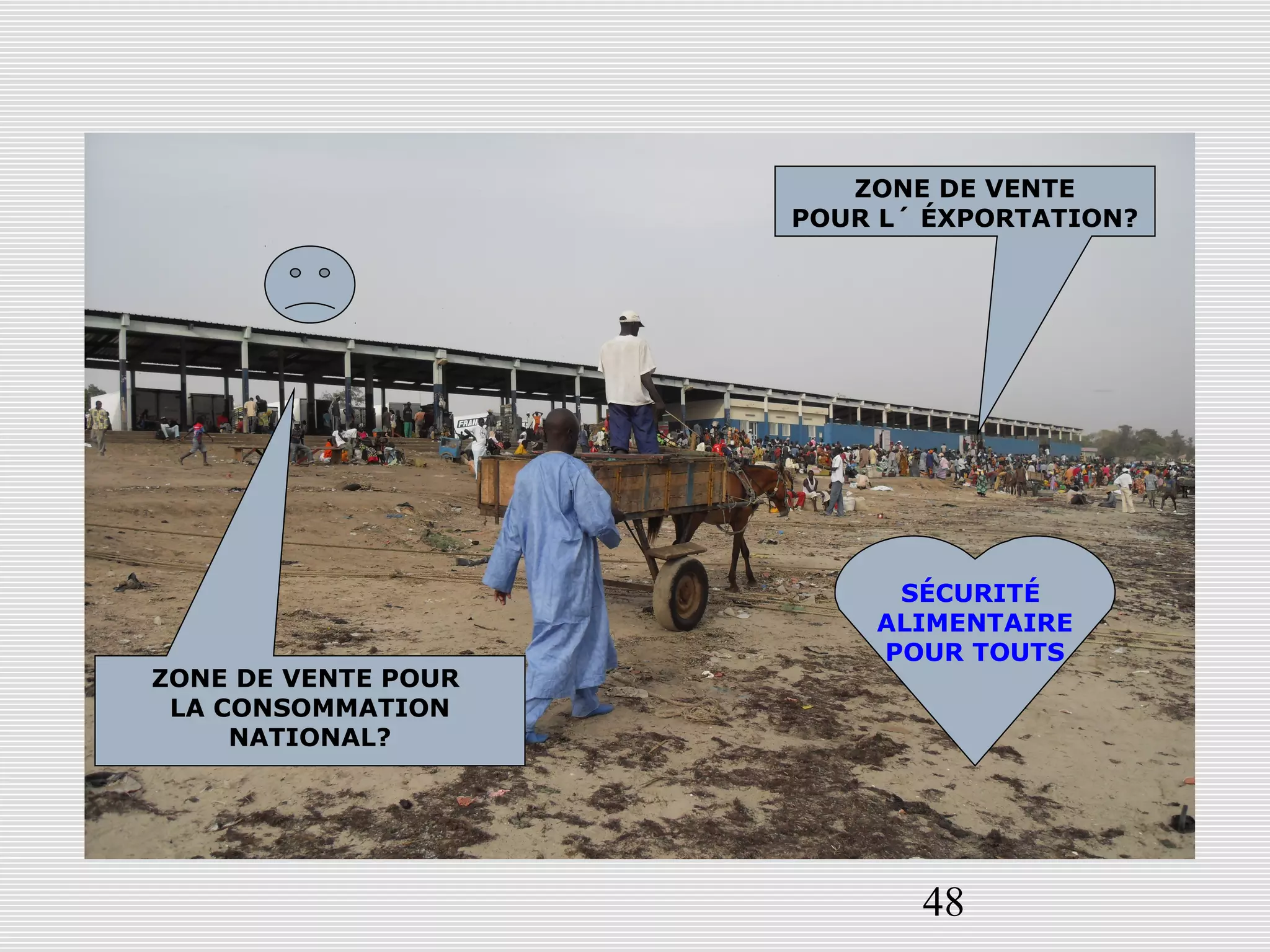 48
ZONE DE VENTE POUR
LA CONSOMMATION
NATIONAL?
ZONE DE VENTE
POUR L´ ÉXPORTATION?
SÉCURITÉ
ALIMENTAIRE
POUR TOUTS
 