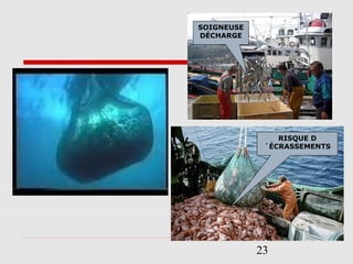 23
SOIGNEUSE
DÉCHARGE
RISQUE D
´ÉCRASSEMENTS
 
