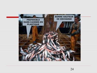 24
BONNE HAUTEUR
DE DECHARGEPREFERIBLE
DANS CAISSES EN
PLASTIQUE
 