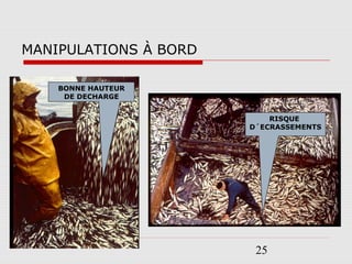 25
MANIPULATIONS À BORD
BONNE HAUTEUR
DE DECHARGE
RISQUE
D´ECRASSEMENTS
 