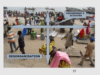35
DESORGANISATION
CROISSEMENT D
´ACTIVITÉS
 