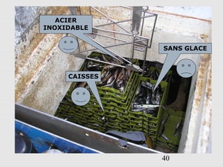 40
SANS GLACE
ACIER
INOXIDABLE
CAISSES
 