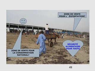 48
ZONE DE VENTE POUR
LA CONSOMMATION
NATIONAL?
ZONE DE VENTE
POUR L´ ÉXPORTATION?
SÉCURITÉ
ALIMENTAIRE
POUR TOUTS
 