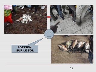 55
POISSON
SUR LE SOL
 