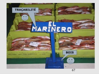 67
BOIS
TRAÇABILITÉ
 