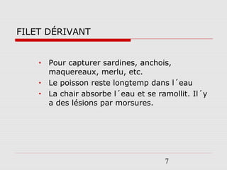 7
FILET DÉRIVANT
• Pour capturer sardines, anchois,
maquereaux, merlu, etc.
• Le poisson reste longtemp dans l´eau
• La chair absorbe l´eau et se ramollit. Il´y
a des lésions par morsures.
 