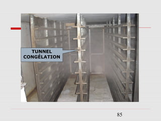85
TUNNEL
CONGÉLATION
 