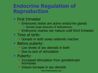 Endocrine Regulation of Reproduction First trimester Embryonic testes are active endocrine glands Secrete large amounts of testosterone Embryonic ovaries not mature until third trimester Time of birth: Gonads in both sexes relatively inactive Before puberty: Low levels of sex steroids in both Due to lack of stimulation Puberty: Increased stimulation from gonadotropic hormones Induce increase in sex steroids www.freelivedoctor.com 