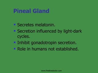 Pineal Gland Secretes melatonin. Secretion influenced by light-dark cycles. Inhibit gonadotropin secretion. Role in humans not established. www.freelivedoctor.com 