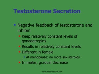 Testosterone Secretion Negative feedback of testosterone and inhibin Keep relatively constant levels of gonadotropins Results in relatively constant levels Different in female At menopause: no more sex steroids In males, gradual decrease www.freelivedoctor.com 