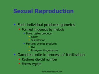 Sexual Reproduction Each individual produces gametes Formed in gonads by meiosis Male: testes produce: Sperm Testosterone Female: ovaries produce: Ova Estrogens, Progesterone Gametes unite in process of fertilization Restores diploid number Forms zygote www.freelivedoctor.com 