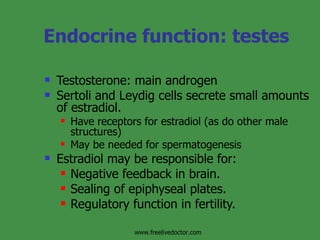 Endocrine function: testes Testosterone: main androgen Sertoli and Leydig cells secrete small amounts of estradiol. Have receptors for estradiol (as do other male structures) May be needed for spermatogenesis Estradiol may be responsible for:  Negative feedback in brain. Sealing of epiphyseal plates. Regulatory function in fertility. www.freelivedoctor.com 