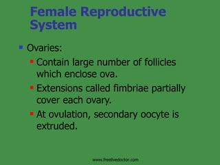 Female Reproductive System Ovaries: Contain large number of follicles which enclose ova. Extensions called fimbriae partially cover each ovary. At ovulation, secondary oocyte is extruded. www.freelivedoctor.com 