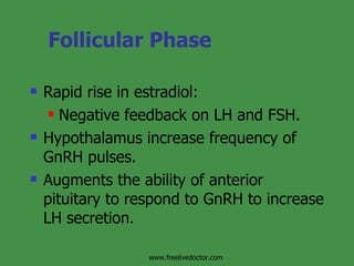 Follicular Phase Rapid rise in estradiol: Negative feedback on LH and FSH. Hypothalamus increase frequency of GnRH pulses. Augments the ability of anterior pituitary to respond to GnRH to increase LH secretion. www.freelivedoctor.com 