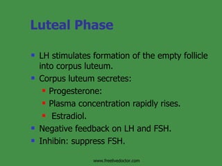 Luteal Phase LH stimulates formation of the empty follicle into corpus luteum. Corpus luteum secretes: Progesterone: Plasma concentration rapidly rises.  Estradiol.  Negative feedback on LH and FSH.  Inhibin: suppress FSH. www.freelivedoctor.com 