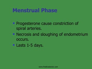 Menstrual Phase Progesterone cause constriction of spiral arteries. Necrosis and sloughing of endometrium occurs.  Lasts 1-5 days. www.freelivedoctor.com 