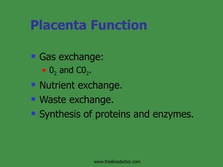 Placenta Function Gas exchange: 0 2  and C0 2 . Nutrient exchange. Waste exchange. Synthesis of proteins and enzymes. www.freelivedoctor.com 