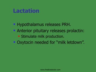 Lactation Hypothalamus releases PRH. Anterior pituitary releases prolactin: Stimulate milk production. Oxytocin needed for “milk letdown”. www.freelivedoctor.com 