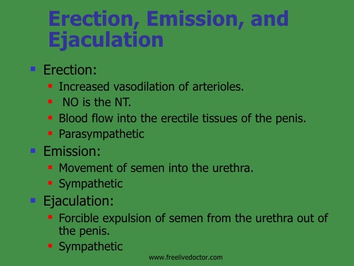 Formation&Development Of Reproductive System