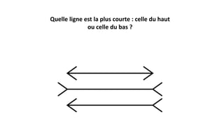 Quelle ligne est la plus courte : celle du haut
ou celle du bas ?
 