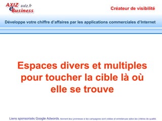 Etendu géographique de la diffusion d’annonces   Continents, Pays, Régions, Villes, quartier… Plus de 40 langues Google, le moteur le plus utilisé dans le monde Janvier 2009 USA Fevrier 2009 France 