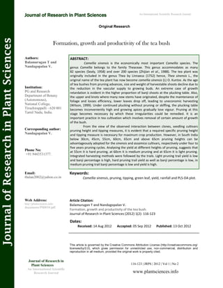 Formation, growth and productivity of the tea bush | PDF