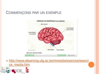 Une définition …« L'interactivité est une activité nécessitant la coopération de plusieurs êtres ou systèmes, naturels ou artificiels qui agissent en ajustant leur comportement. » (Wikipédia)