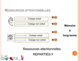 Retour sur votre expérienceSur base de votre expérience et par groupes de 2 ou 3 personnes, relevez …Les situations d’apprentissage avec multimédia que vous avez vécues en tant qu’apprenant ou en tant que formateur (1 ou 2 de chaque). Les +