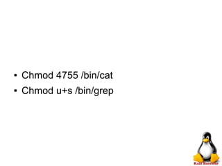 ● Chmod 4755 /bin/cat
● Chmod u+s /bin/grep
 