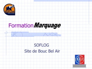 SOFLOG  Site de Bouc Bel Air Formation Marquage 