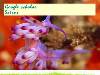 Google scholar Scirus 