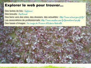 Explorer le web pour trouver… Des textes de lois :  Legifrance Des brevets :  [email_address]   Des liens vers des sites, des dossiers, des actualités :  http ://www.science.gouv.fr/fr /   Les associations de professionnels:  http :// www.couplan.com/fr/formations/cpe.php   Des bases d’images :  les images du Museum d’Histoire Naturelle 
