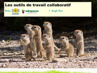 Les outils de travail collaboratif Wikis   /  Google Docs 