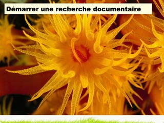 Démarrer une recherche documentaire 