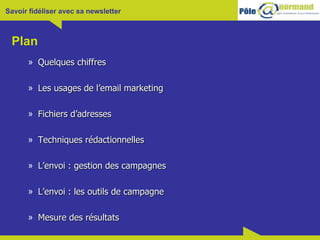 Plan Quelques chiffres Les usages de l’email marketing Fichiers d’adresses Techniques rédactionnelles  L’envoi : gestion des campagnes L’envoi : les outils de campagne Mesure des résultats 