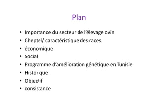 Plan
• Importance du secteur de l’élevage ovin
• Cheptel/ caractéristique des races
• économique
• Social
• Programme d’amélioration génétique en Tunisie
• Historique
• Objectif
• consistance
 